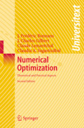 Numerical optimization: teoritical and practical aspects